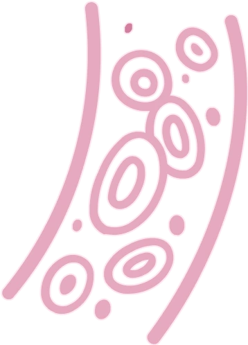 Blood <br/>Cancer